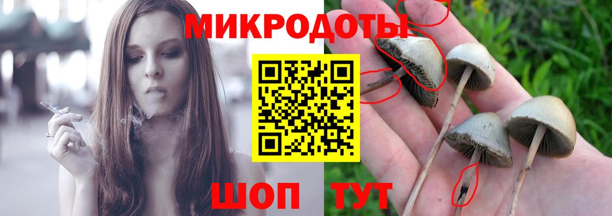 Лосино-Петровский  Галлюциногенные грибы Cubensis  закладка  Галлюциногенные грибы MAGIC MUSHROOMS  Вход с VPN 